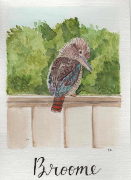 Broome- Kookaburra